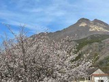 IMG_0843