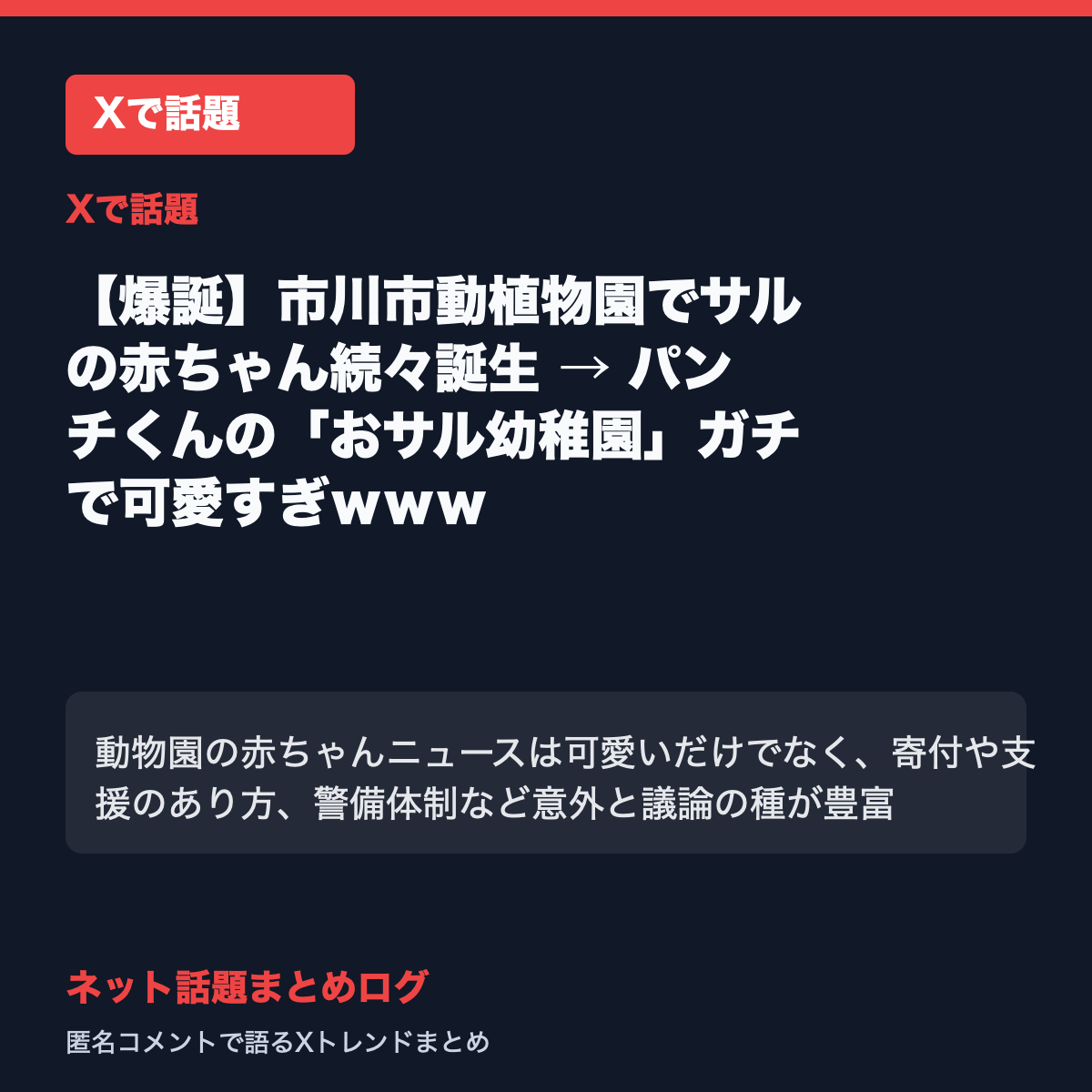 【爆誕】市川市動植物園でサルの赤ちゃん続々誕生 → パンチくんの「おサル幼稚園」ガチで可愛すぎwww