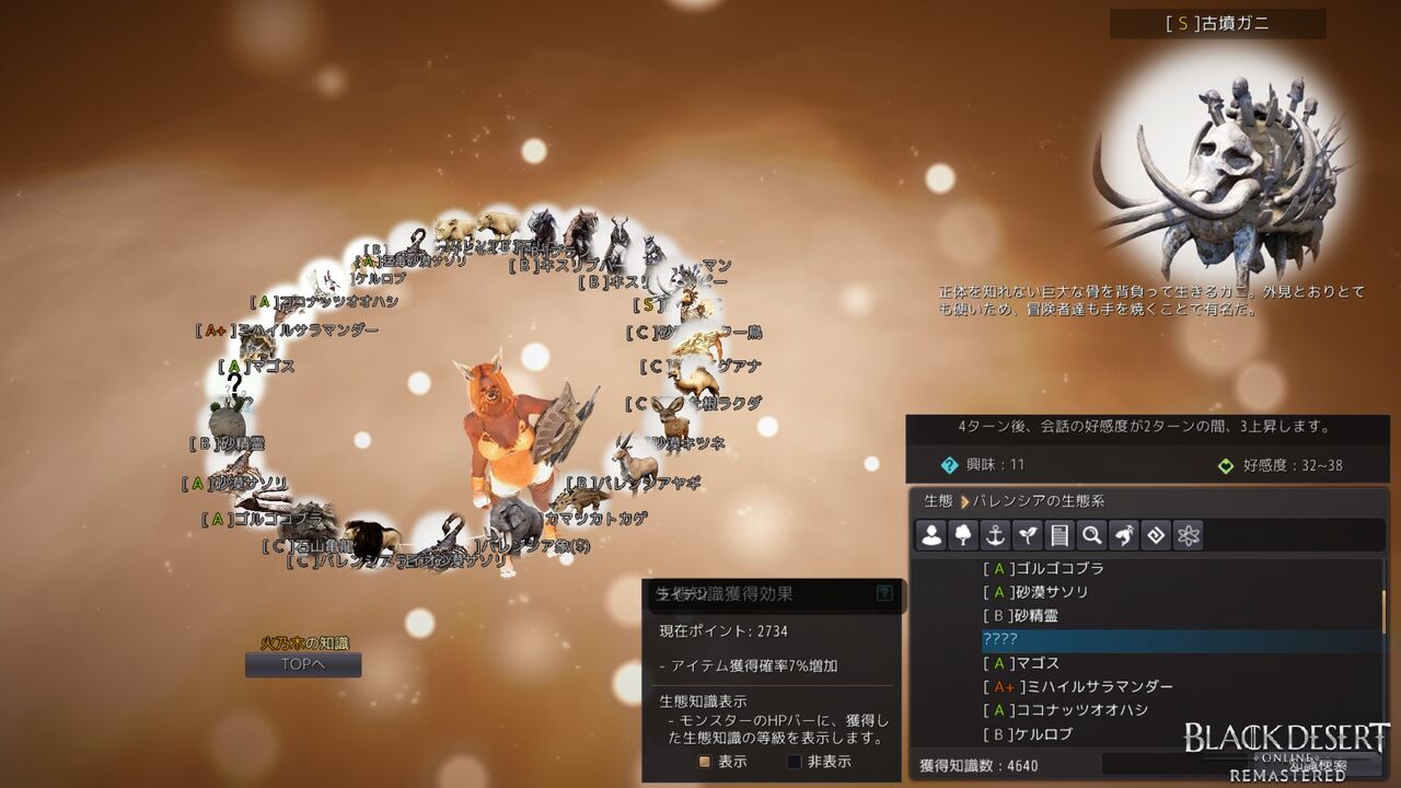 黒い砂漠 知識集めにひた走る ゆうがみ Net