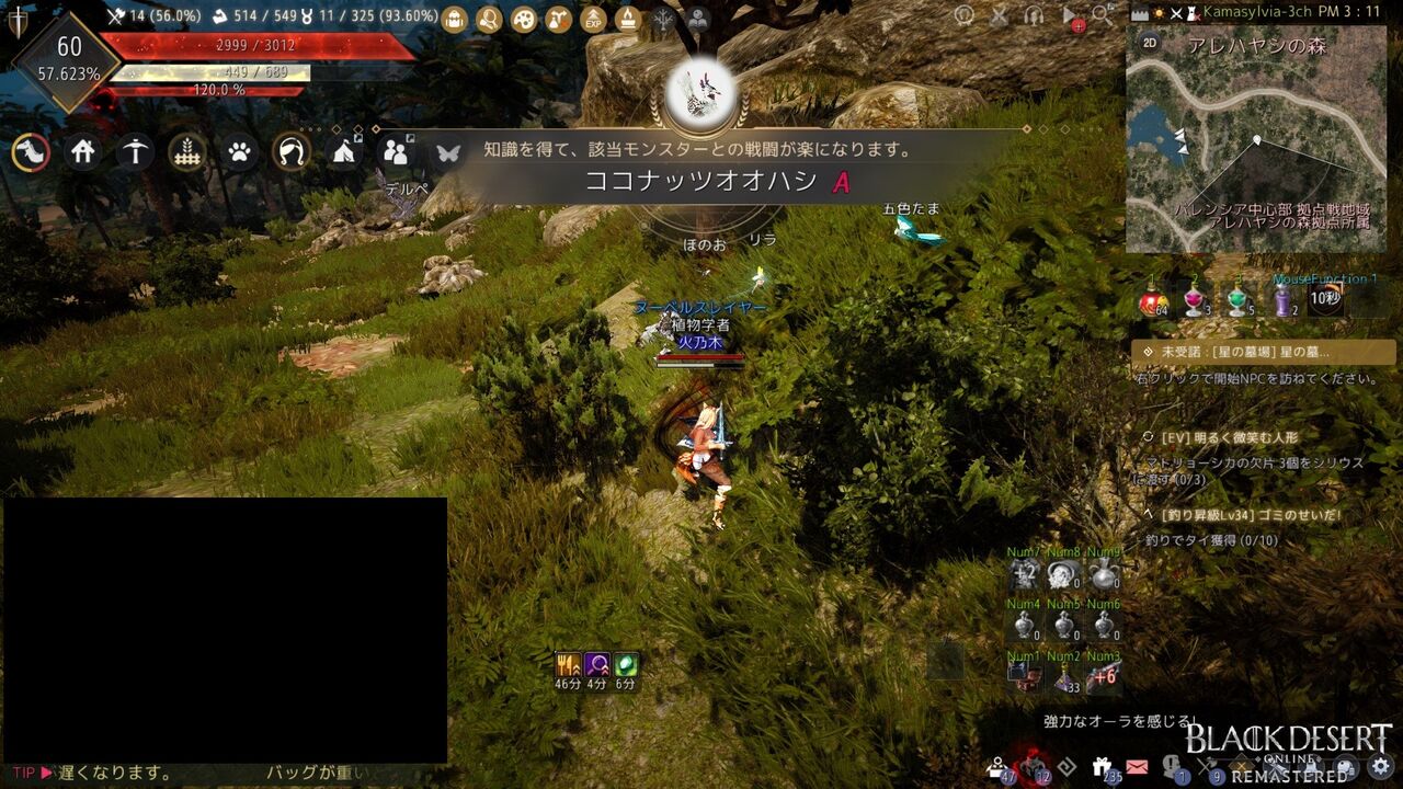 黒い砂漠 知識集めにひた走る ゆうがみ Net 黒い砂漠 知識集めにひた走る ゆうがみ Net