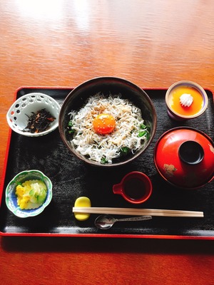 しらす丼