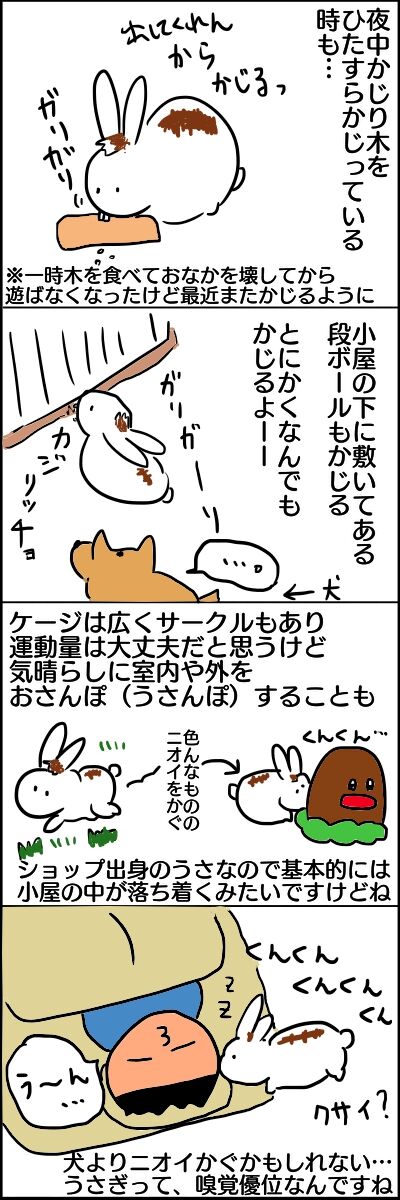 うさぎ4歳 ヤミツキいくじ うさぎ4歳 ヤミツキいくじ