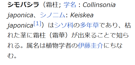 キャプチャしもばしら3