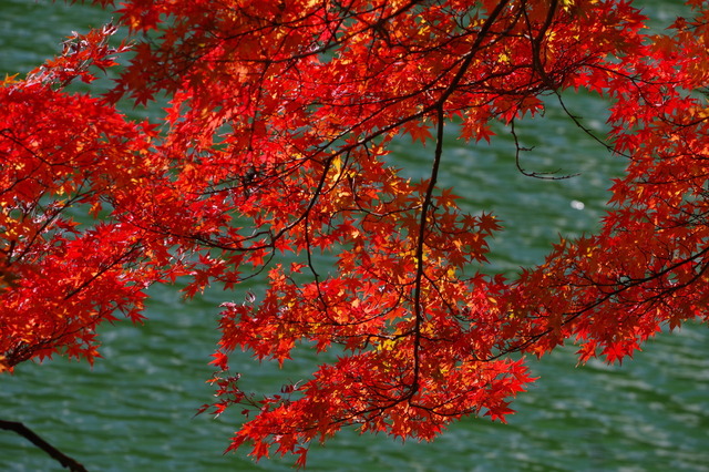 IMGP0223