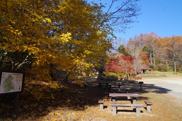IMGP0179