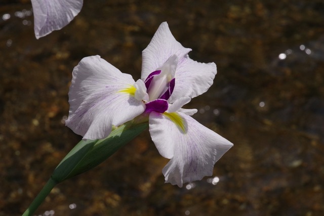 IMGP2059