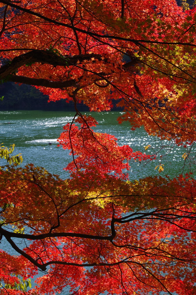 IMGP0221