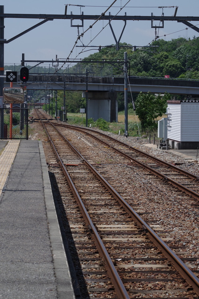 IMGP3241