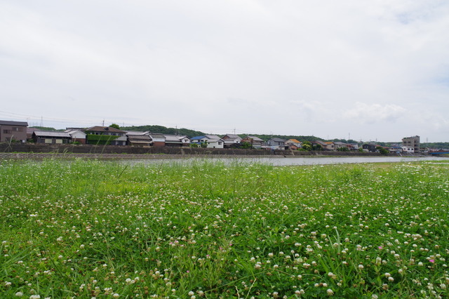 IMGP8005