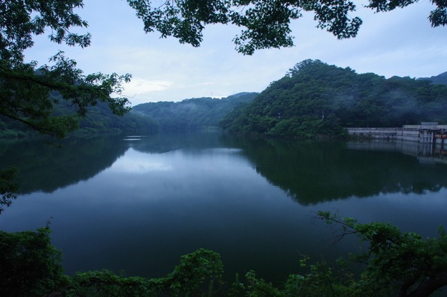 IMGP7310