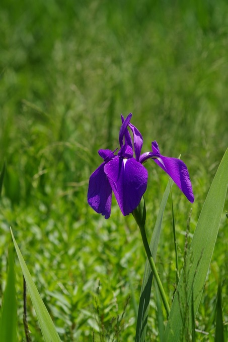 IMGP1022
