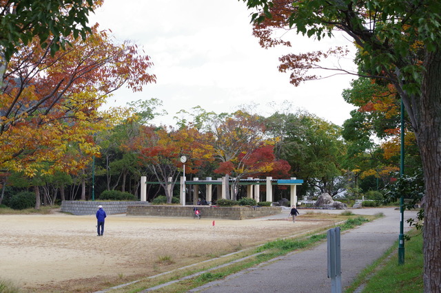 IMGP0032