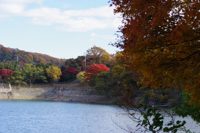 IMGP0136
