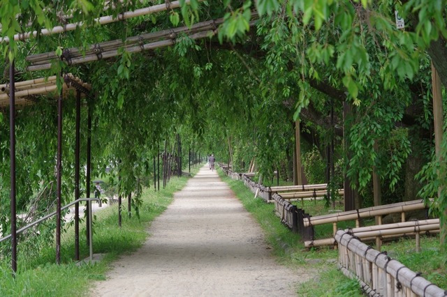 IMGP1988