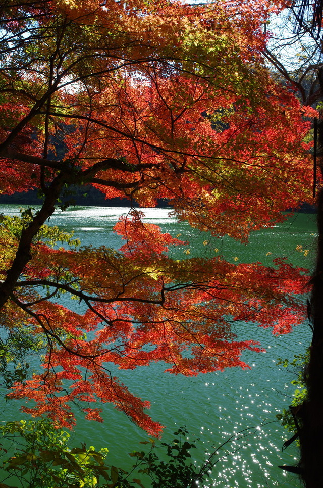 IMGP0139 (1)