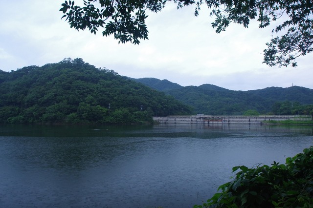 IMGP7308