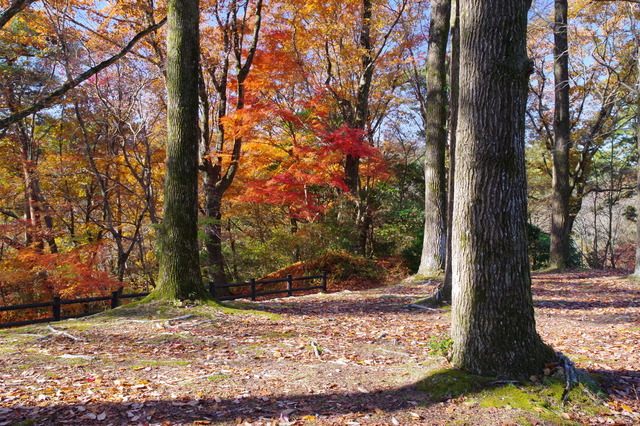 IMGP0127