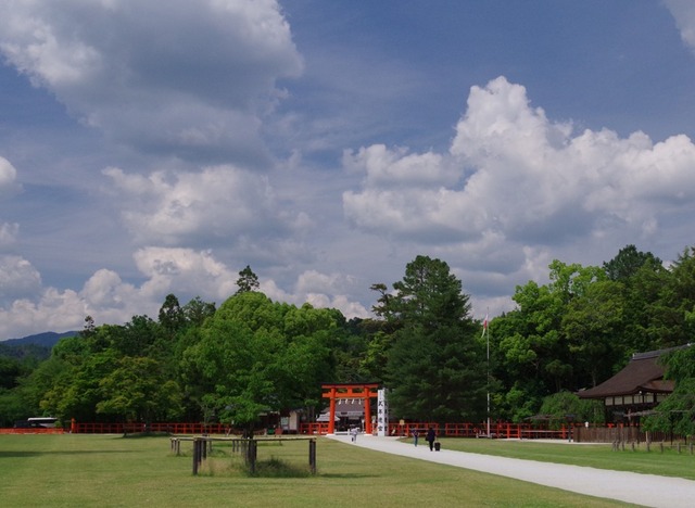 IMGP2099 (2)