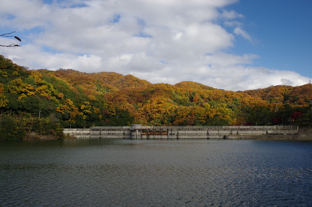 IMGP0085 (1)