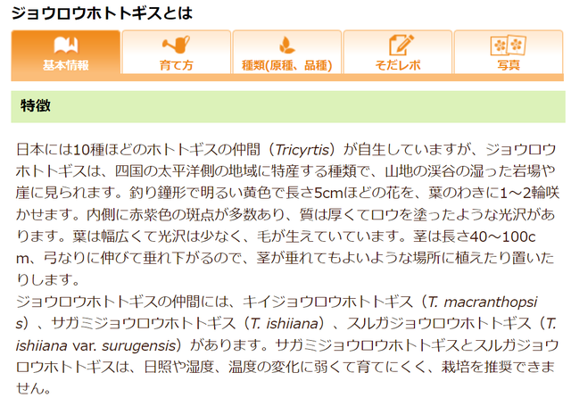 キャプチャきいじょうろほととぎす