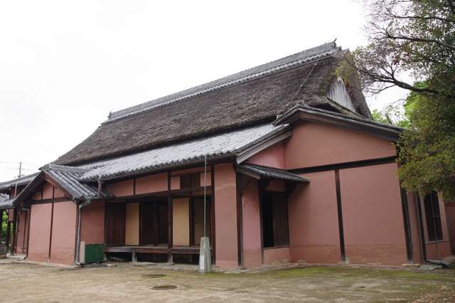 IMGP2984