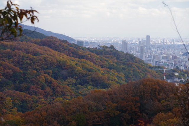 IMGP0074