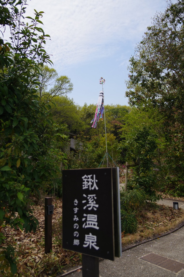 IMGP5648