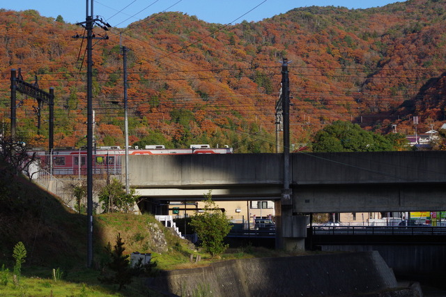 IMGP0005