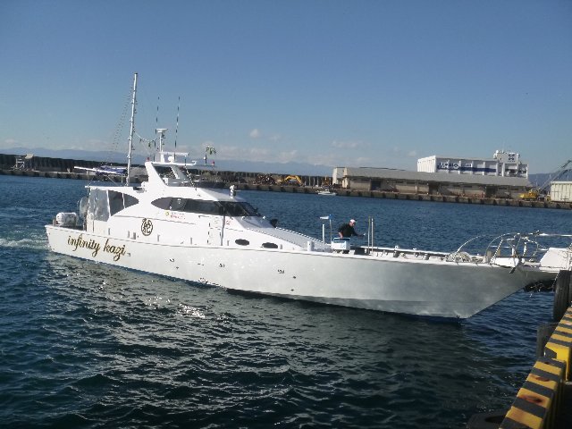 初釣り 石花海 ヤリイカ編 16 1 9 沼津 舵丸 トミーの日記