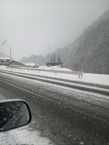 1920119_602400376509735_1013017661_n