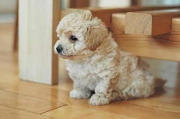 2aa1d23ac1e57823c39593ec41feb6e6