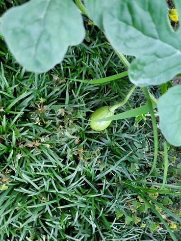 216254540_4130393213710416_7732043346172989399_n