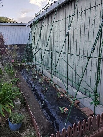 340208524_672396377982353_3361149817314376619_n