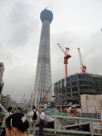 ｽｶｲﾂﾘｰ-1