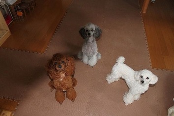 o0600040011209964421