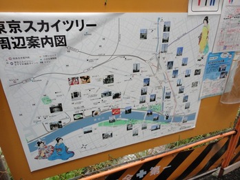 ｽｶｲﾂﾘｰ-4