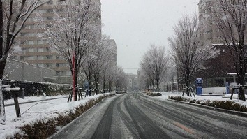 1621817_534174700032767_394875136_n