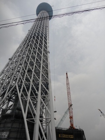 ｽｶｲﾂﾘｰ-1-1