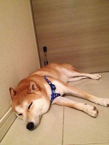 ﾌﾛｰﾘﾝｸﾞ-3