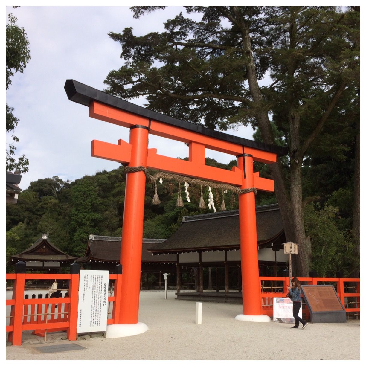 上賀茂神社でお守りを返納 ｄｎａストラップ ぱーさんまーさんの留学日記