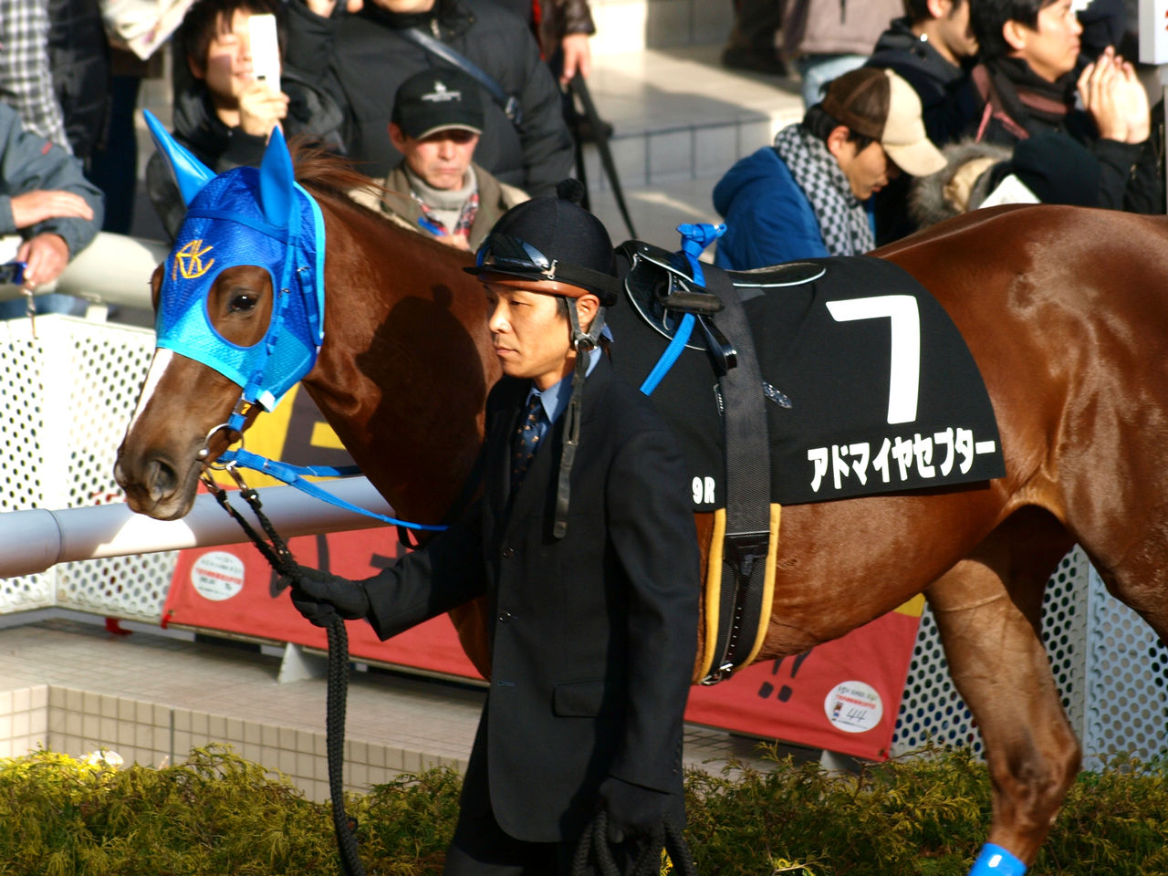 グルっ仔blogフォゲッタブル