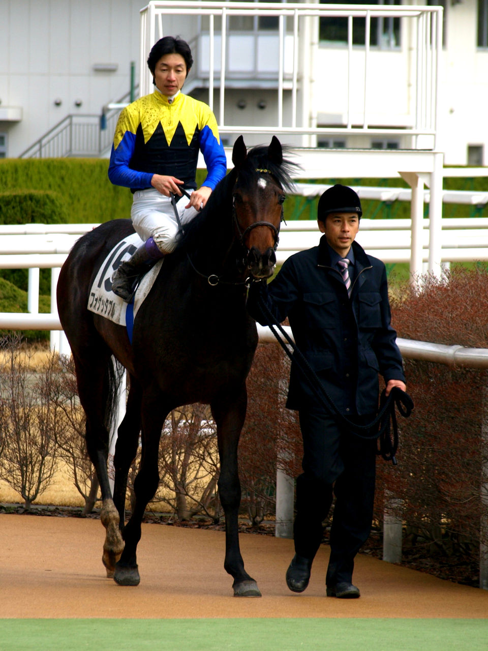 グルっ仔blogフォゲッタブル