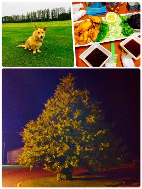 9 9 士幌町な一日 Yuichi S Diary