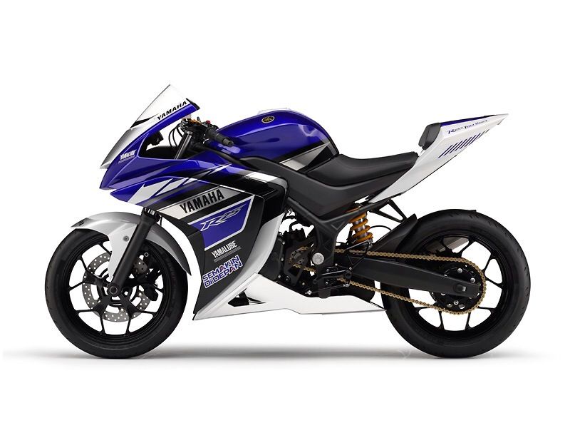 Calority R250 YZF-R250はいつ出るの!? : 唯我独尊
