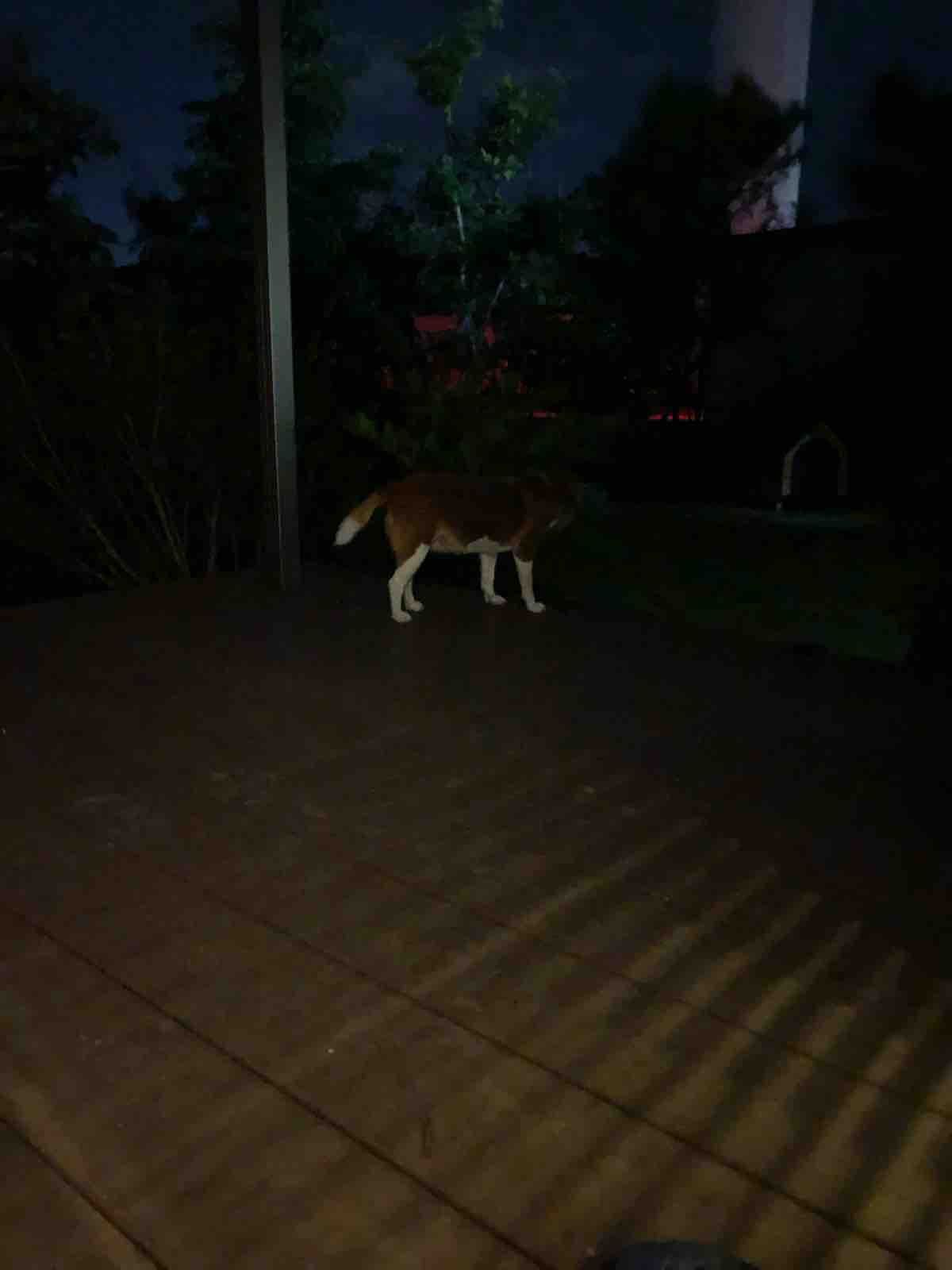 Yuika 結花 Hanayoshiの毎日