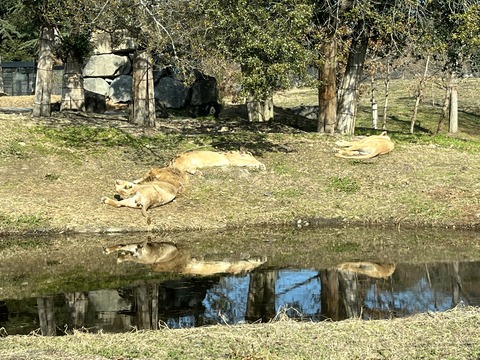 48E91B2F-1C41-48CC-9109-3A62998244FC