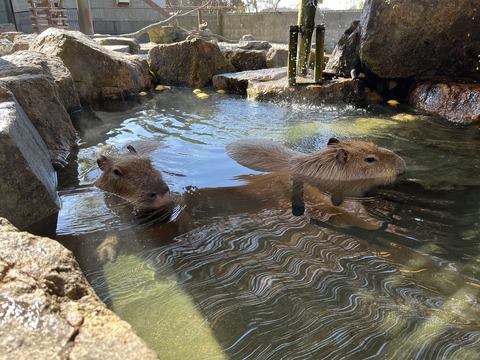 E8B2F457-E5F5-4947-BDD2-43183297AE56