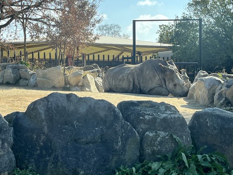 C9F55F95-D030-483B-9A20-008E5F5645C6