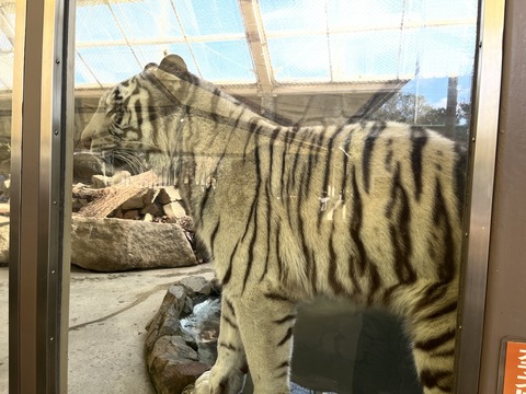 98733E53-FF20-4A7D-BCAE-D76E7C368230