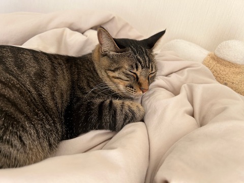 14008310-517E-4232-82DB-D78D559958C7